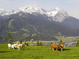 Nördliche Kalkalpen, Zug-und Alpspitze